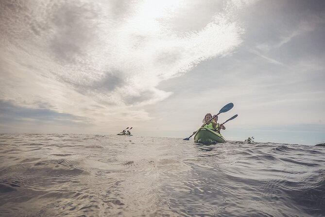 Kayak tour in Pula to Valley of Tears/free drinks+photos included - Comparing This Tour to Similar Experiences in Pula