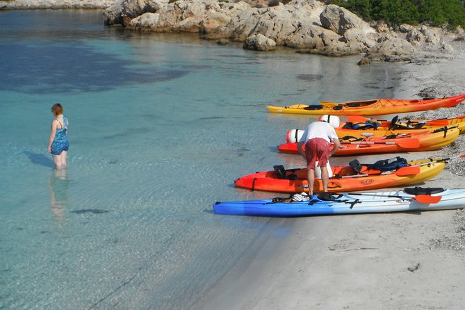 Kayak Tour in the Marine Reserve ! - Key Points