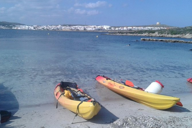 Kayak Tour in the Marine Reserve ! - Guides and Group Size Dynamics