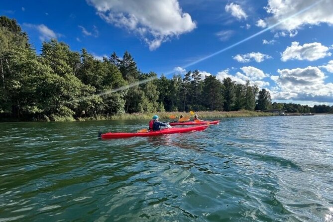 Kayak Tour in the Stockholm Archipelago with Lunch Meal - Guided Nature Insights and Wildlife Spotting