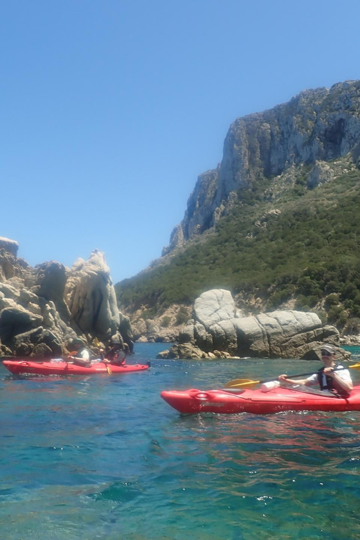 Kayak Tour of Capo Figari, Golfo Aranci (3 hours) - Exploring Capo Figari’s Hidden Coastline