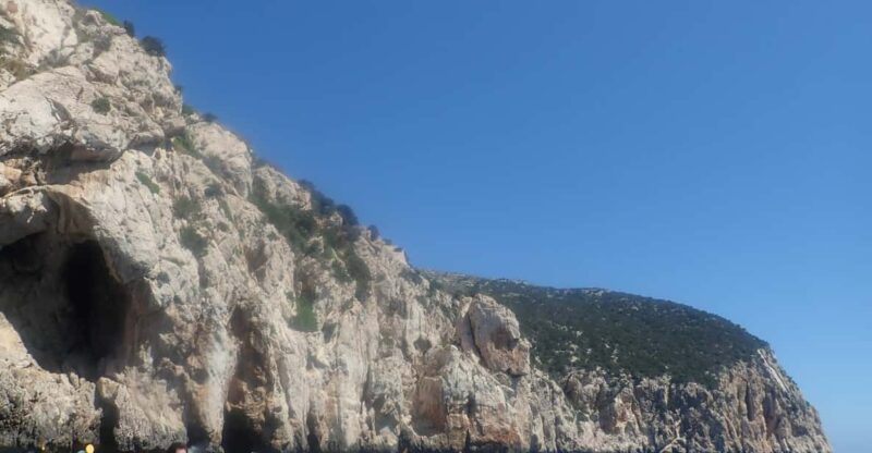 Kayak Tour of Capo Figari, Golfo Aranci (3 hours) - Dolphin Watching and Marine Wildlife Encounters