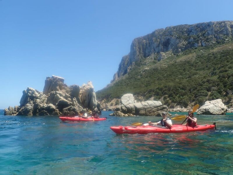 Kayak Tour of Capo Figari, Golfo Aranci (3 hours) - Flexibility with Booking and Cancellation Policy