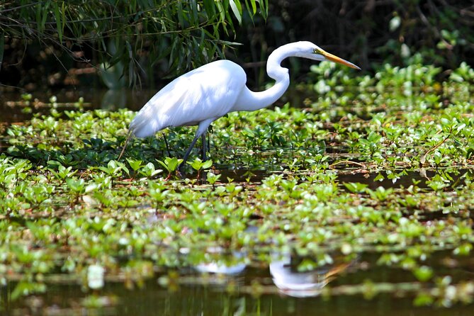 Kayak Tour of Lake James - What Makes Lake James a Kayaker’s Paradise