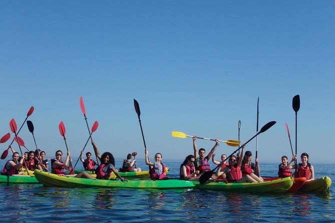 Kayak Tour of Lisbon - Timing, Group Size, and Booking Tips