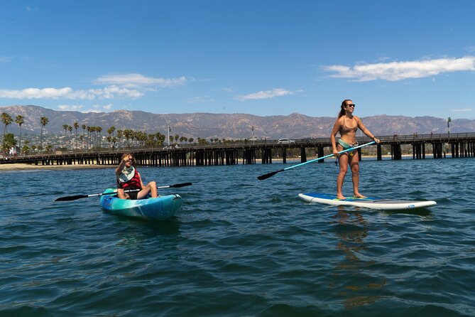 Kayak Tour of Santa Barbara with Experienced Guide - Wildlife Sightings: Seals, Sea Lions, and Dolphins