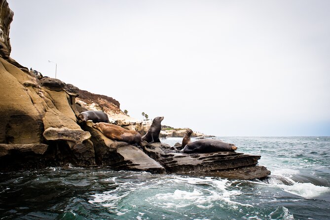 Kayak Tour of the 7 Caves - Guides and Customer Service