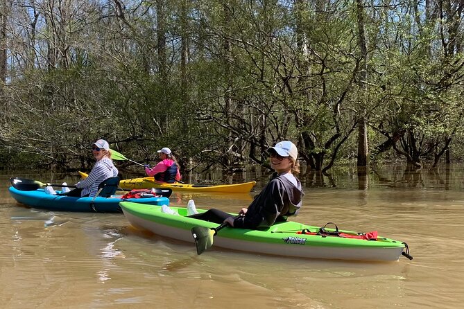 Kayak Tour Of The Honey Island Swamp and Backwaters - Honey Island Swamp Kayak Tour Meeting Point in Pearl River