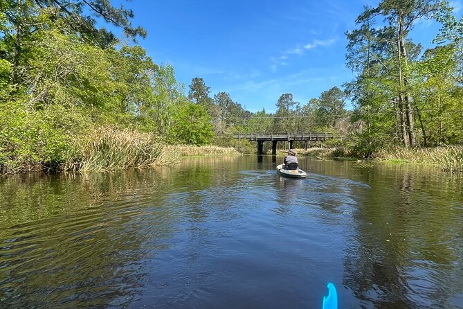 Kayak Tour Of The Honey Island Swamp and Backwaters - Additional Activities Similar to This Kayak Tour