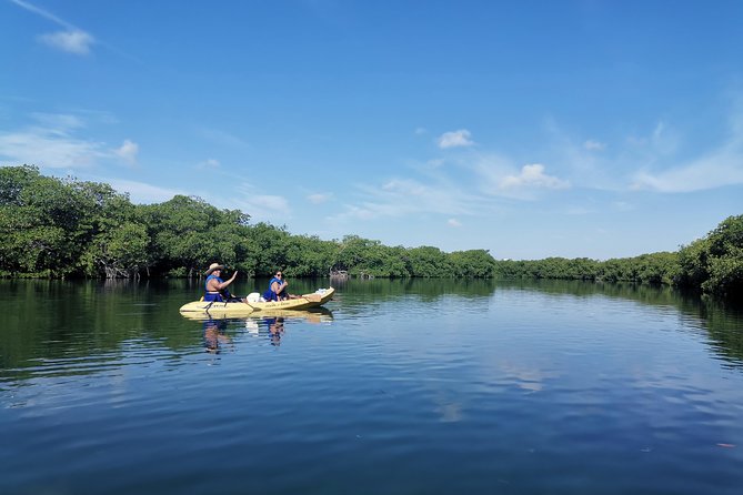 Kayak TOUR POR Laguna Nichupte Cancun - What’s Included and What to Bring