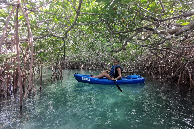 Kayak TOUR POR Laguna Nichupte Cancun - The Experience with Nature and Wildlife