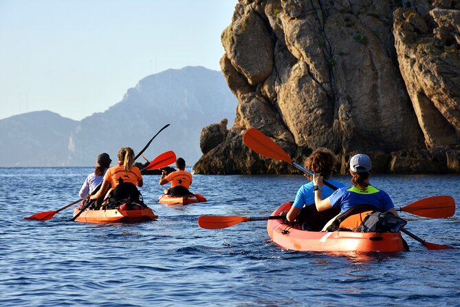 Kayak tour with aperitif and dolphins - Starting Point at KayakingMoresca in Golfo Aranci