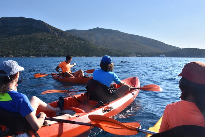 Kayak tour with aperitif and dolphins - The 3-Hour Kayaking Experience with a Pre-lesson
