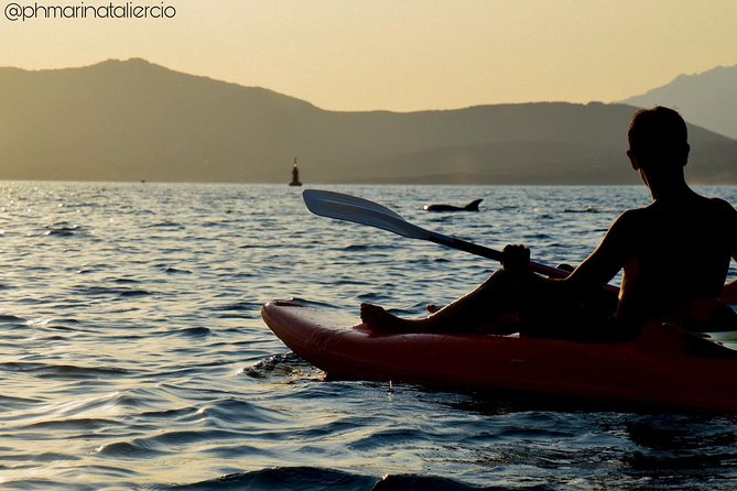 Kayak tour with aperitif and dolphins - Approaching Figarolo Island for Food and Dolphins