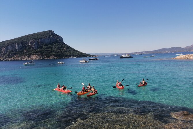 Kayak tour with aperitif and dolphins - Small-Group Experience and Equipment Provided