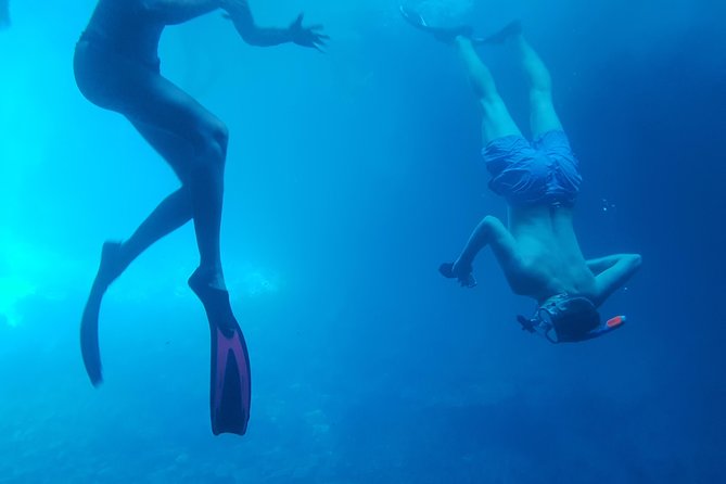 Kayak tour with cave experience - The Experience of Swimming and Cliff Jumping