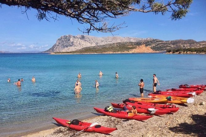 Kayak Tour with Snorkeling and Local Aperitif - Snorkeling with Colorful Marine Life