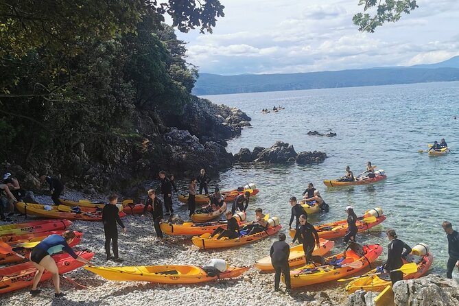 Kayak tour with snorkeling and marine biologist - The Marine Biologist Guide: Knowledge and Passion