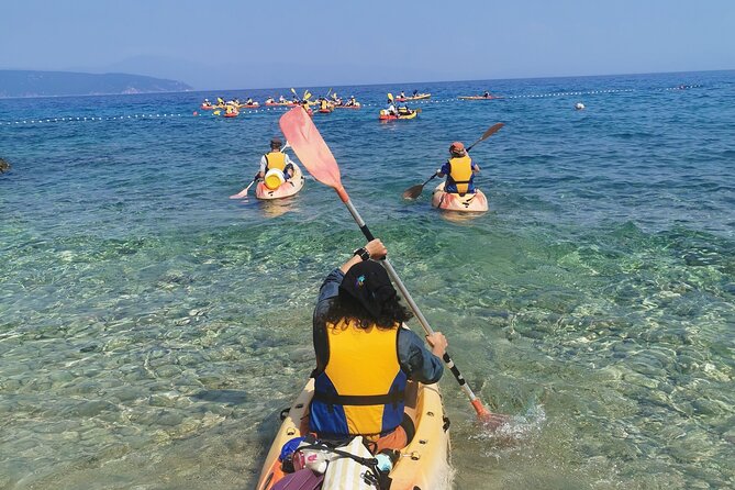 Kayak tour with snorkeling and marine biologist - Cultural Insights Along the Route