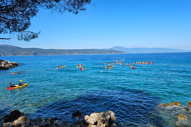 Kayak tour with snorkeling and marine biologist - Family-Friendly Nature of the Tour