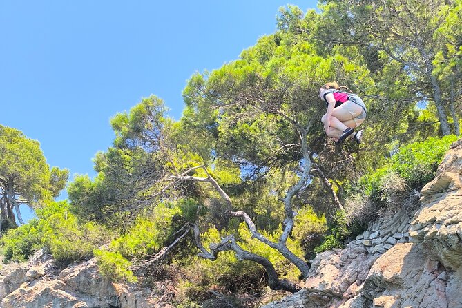 Kayak Tour with Snorkeling and Picnic - The Marine Life and Snorkeling Highlights