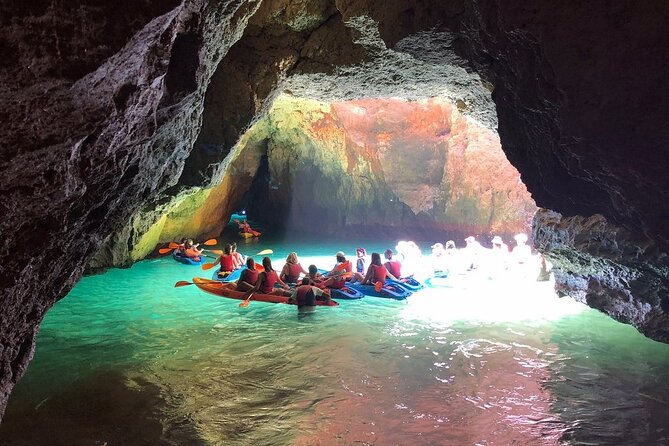 Kayak Tours with Amazing Caves, sea life and Marine Biologist . - The Marine Biologist Guide: Expertise and Approach