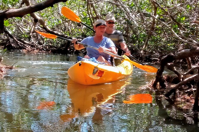 Kayak Trip, 1 Wet Hike + 2 dry hikes in Everglades National Park - Logistics: Comfortable Transportation and Family-Friendly Pacing