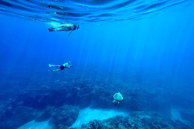 Kayak, Whale Watch, and Snorkel With Optional Photo and Video - How the Tour Combines Kayaking, Whale Watching, and Snorkeling