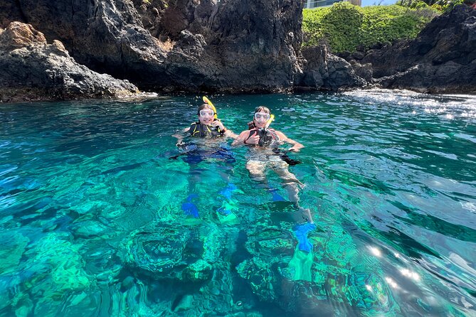 Kayak, Whale Watch, and Snorkel With Optional Photo and Video - Weather and Cancellation Policies