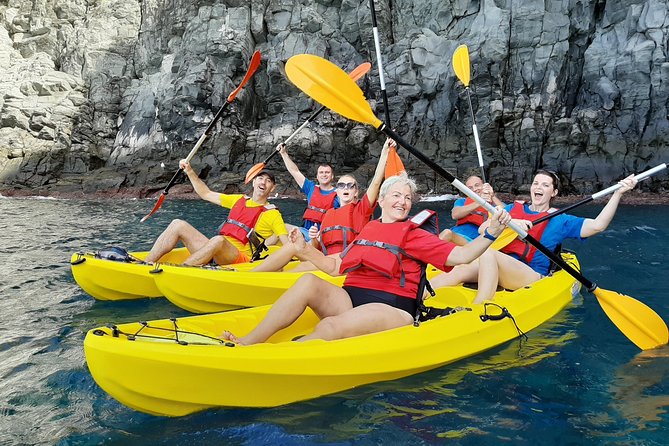 Kayak with Dolphin & Turtle Watching Private Tour - Exciting Private Kayak Tour in Tenerife for Wildlife Lovers