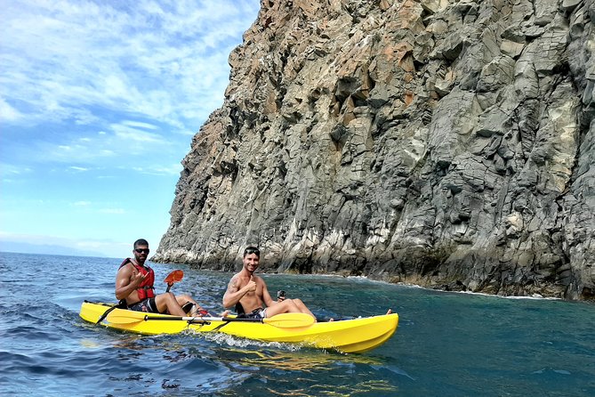 Kayak with Dolphin & Turtle Watching Private Tour - The Tour Starts with Convenient Pickup in Tenerife