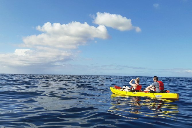 Kayak with Dolphin & Turtle Watching Private Tour - Exploring the Marine Strip of Tenerife and Natural Habitats