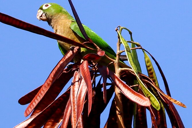 Kayaking Adventure at the Nichupte Lagoon in Cancun - Key Points