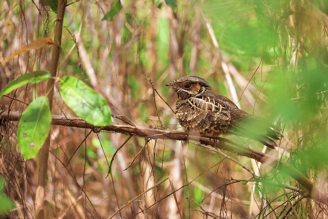 Kayaking Adventure at the Nichupte Lagoon in Cancun - Why the Nichupte Lagoon Kayaking Tour Stands Out