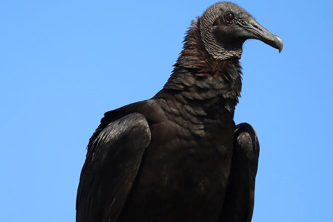 Kayaking Adventure at the Nichupte Lagoon in Cancun - Experience the Natural Beauty of Nichupte Lagoon
