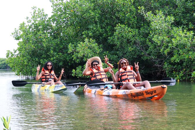 Kayaking Adventure at the Nichupte Lagoon in Cancun - The Significance of the Ecosystem and Wildlife