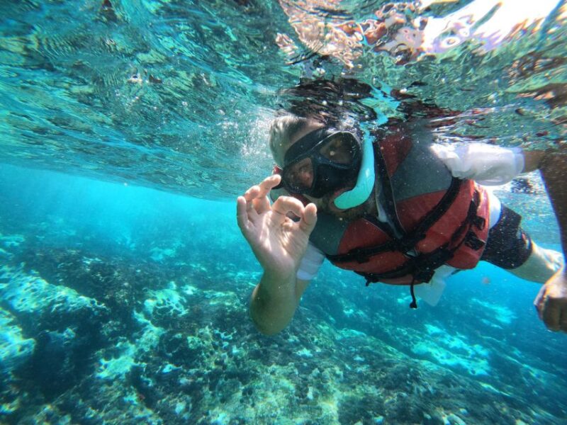 Kayaking and Snorkeling with Turtles - Returning with Majestic Views of Mount Teide