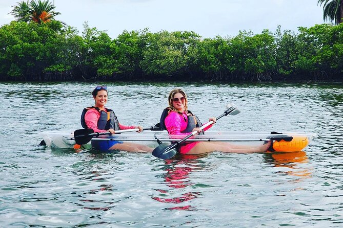 Kayaking Clear through Clearwater - Meet Your Guides: Knowledgeable and Friendly