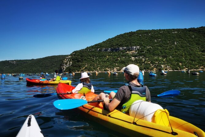 Kayaking Experience in Lim Bay Sea in The Croatian Fjord - Wildlife Encounters and Marine Life