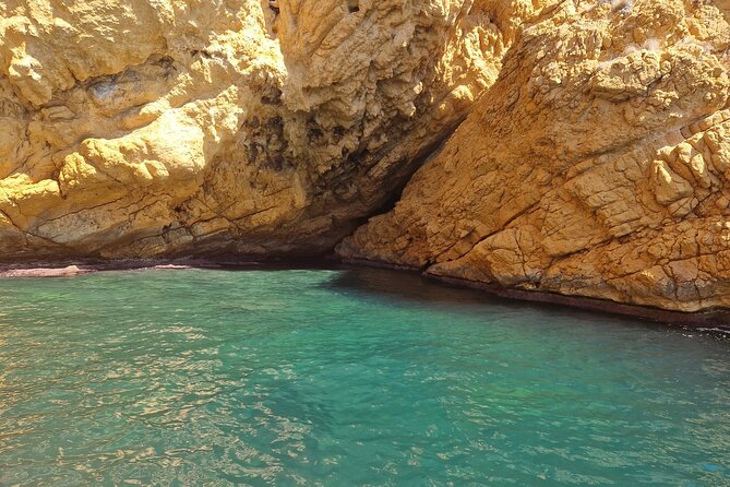 Kayaking in Serra Gelada in El Albir - What Makes the Water and Marine Life Special?