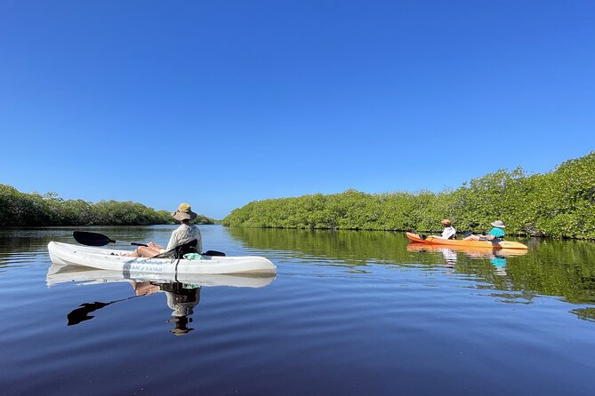 Kayaking in the Mangroves Experience - Key Points