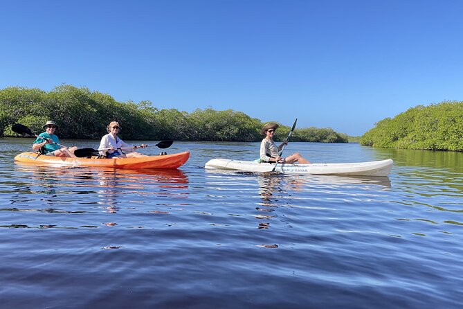 Kayaking in the Mangroves Experience - Meeting and Assisting a Local Fishermen Family