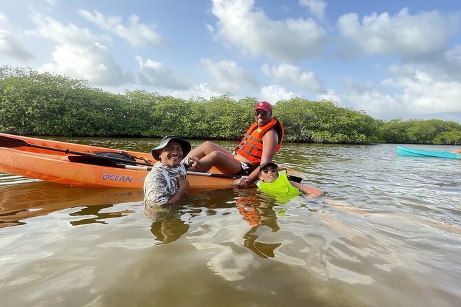 Kayaking in the Mangroves Experience - Learning About Flora and Fauna in the Mangrove Environment