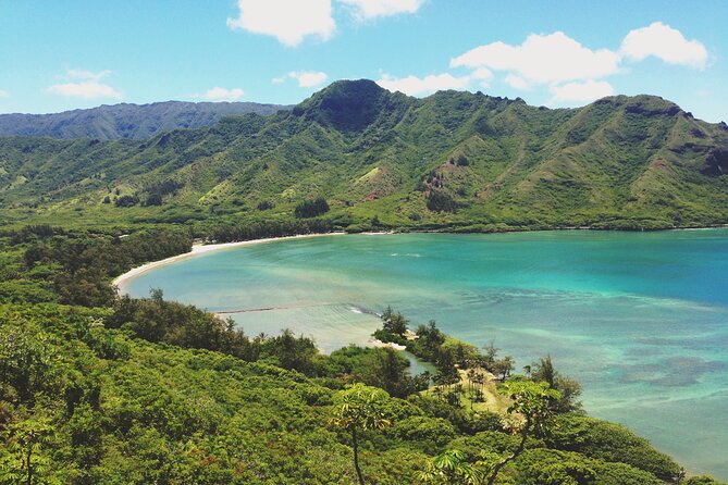 Kayaking Rainforest River on Oahu, Kahana River(Self-Guided Tour) - Observations from Past Participants