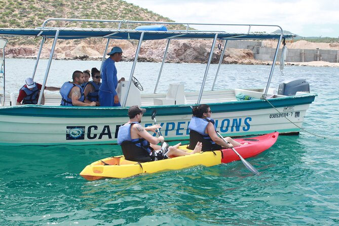 Kayaking & Snorkeling in the Spectacular Waters of Los Cabos - Kayaking Past the Sea Lion Colony and Coastal Landmarks