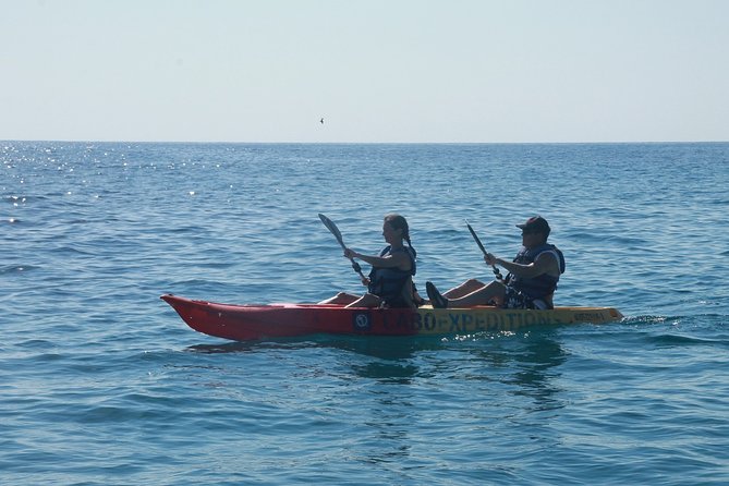 Kayaking & Snorkeling in the Spectacular Waters of Los Cabos - Snorkeling at Pelican Rock and Underwater Marvels