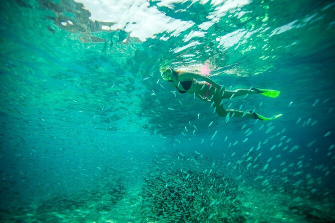 Kayaking & Snorkeling in the Spectacular Waters of Los Cabos - The Experience’s Strengths and Considerations