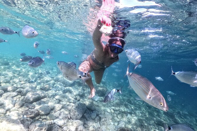 Kayaking to Island Saint Jerolim with snorkeling activitie - Highlights of the Snorkeling and Underwater Photoshoot