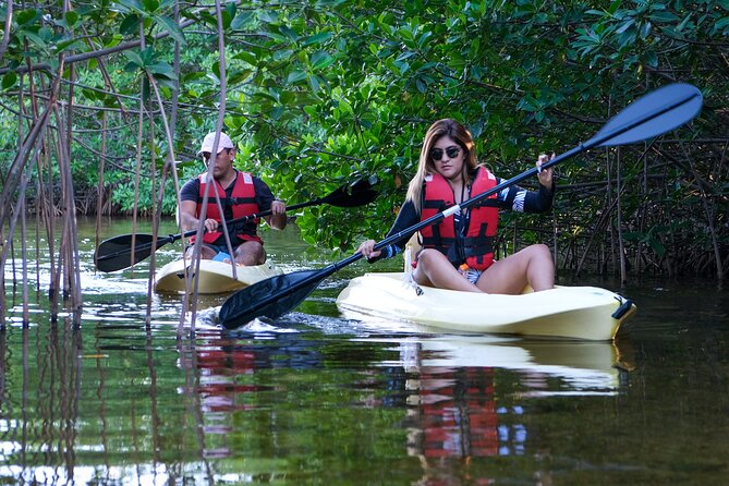 Kayaking Tour in Cancun - What’s Included in the Tour: Gear and Extras