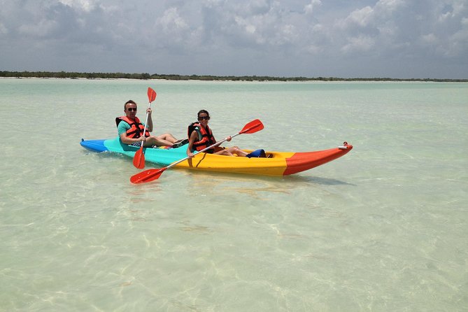 Kayaking Tour Through the Mangroves in Isla Holbox - The Kayaking Experience in the Mangroves